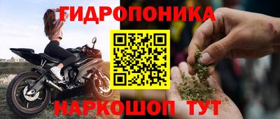 дживик Гатчина